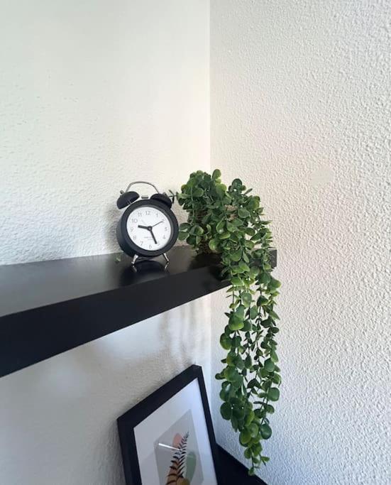 Apartament Nid Douillet Lille Zewnętrze zdjęcie